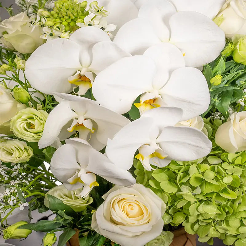 Funeral Flowers | FREE Delivery | Flower Actually