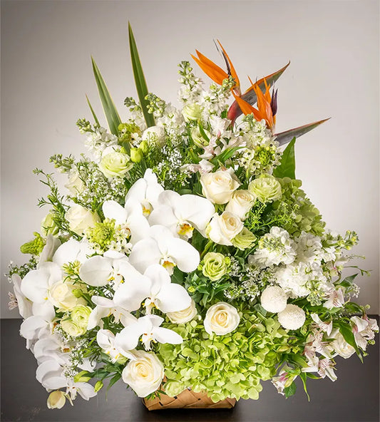 Amazing Grace | Flower Actually