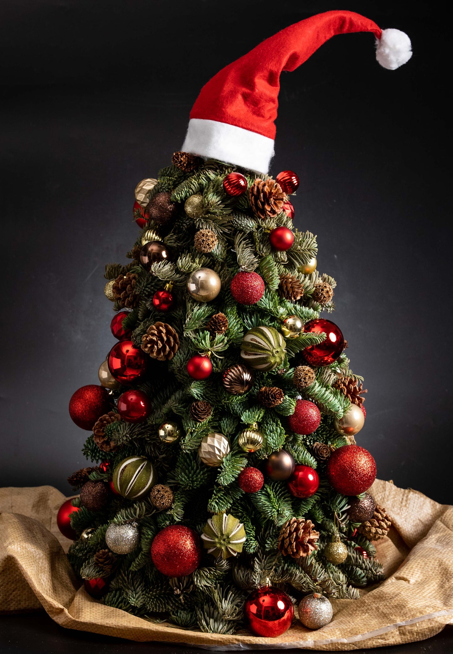 Santa Christmas Tree