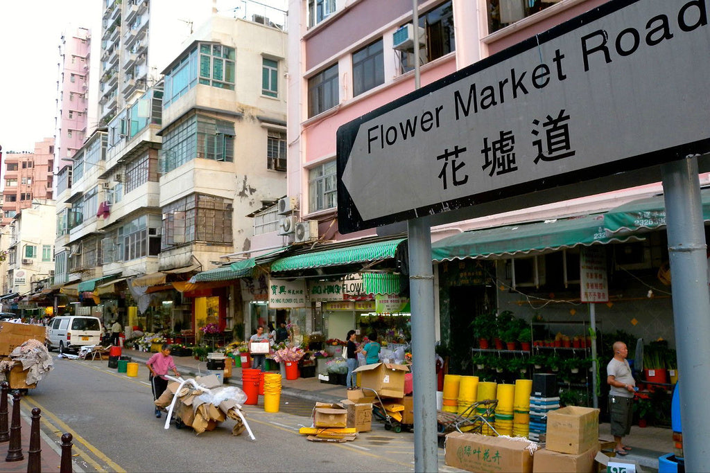 香港太子花墟花店攻略 ：品味鮮花與園藝的絕佳去處