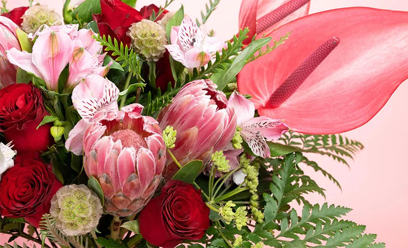 Friendship Flowers | Flowers For Friends | Flower Actually
