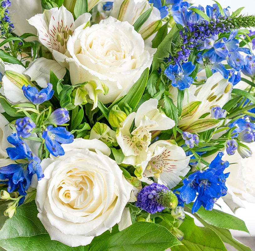 Flower-Actually-white-rose-bouquet-close-up