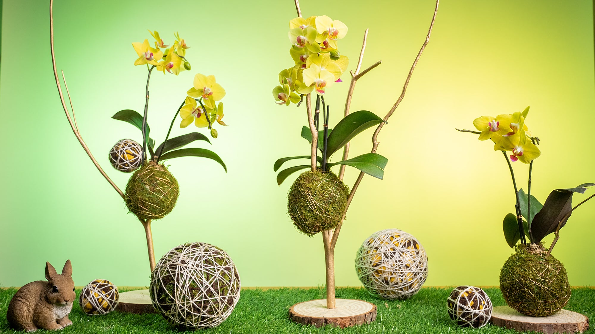 Flower Actually orchid arrangements