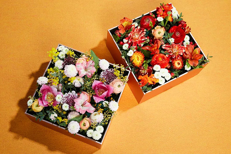 The Flower Box 花盒