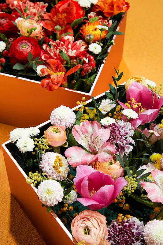 The Flower Box 花盒