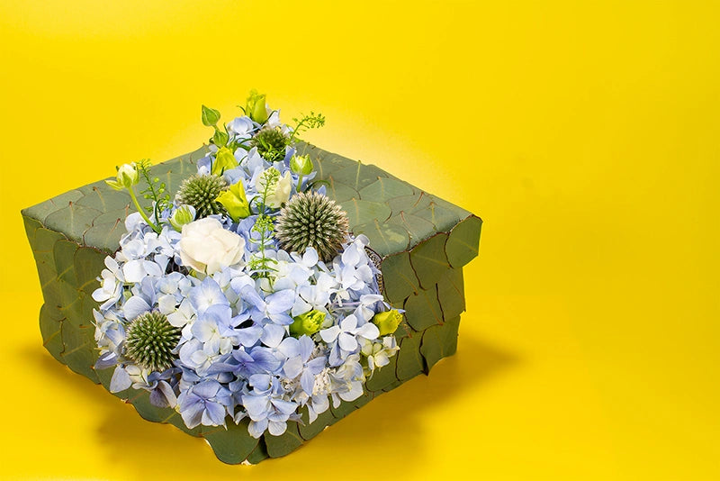 Unzipped 花盒 | Flower Actually